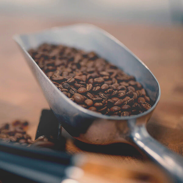 Café pur origne & bland